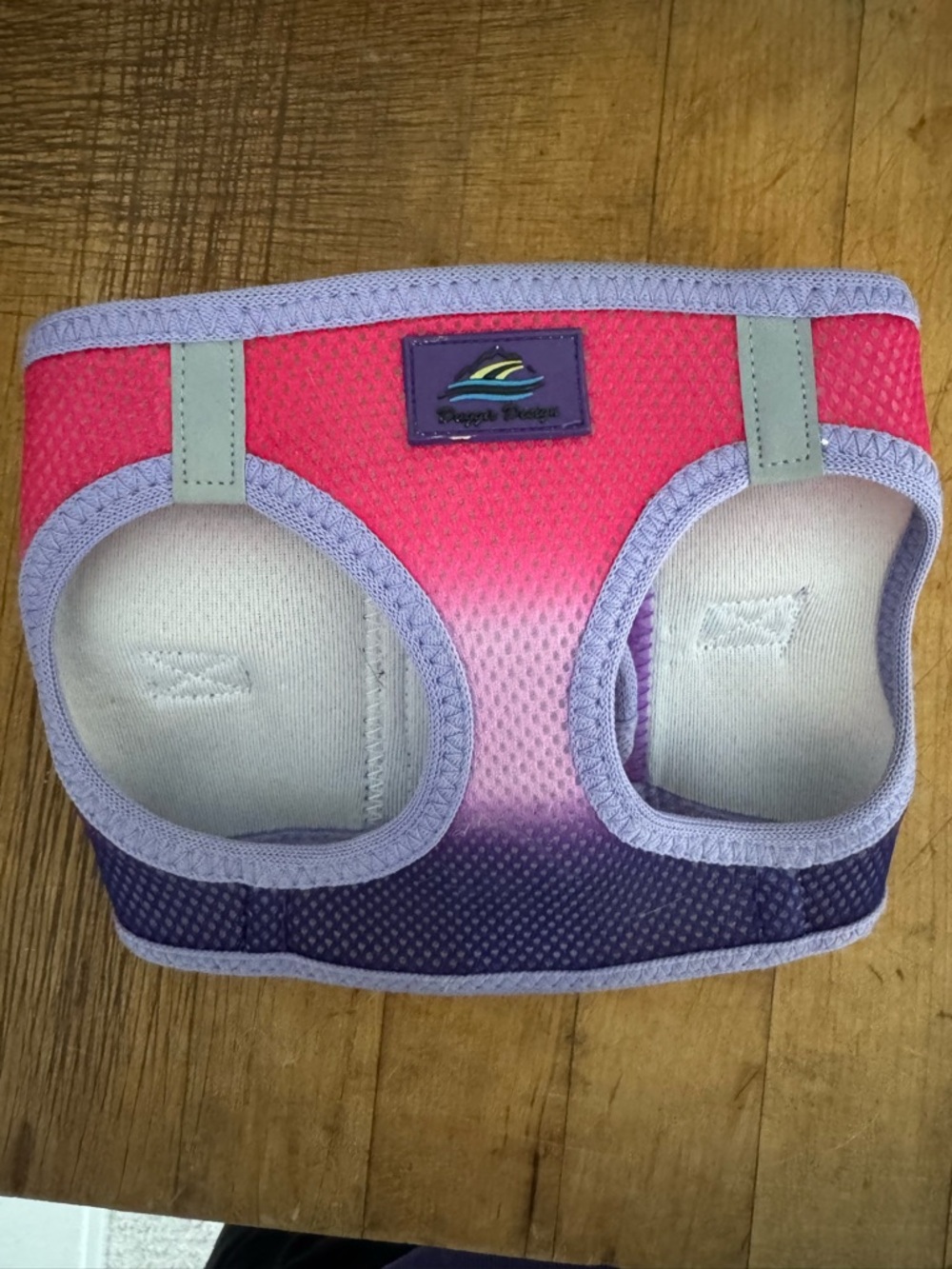 Purple Pink Ombre Mesh dog Harness